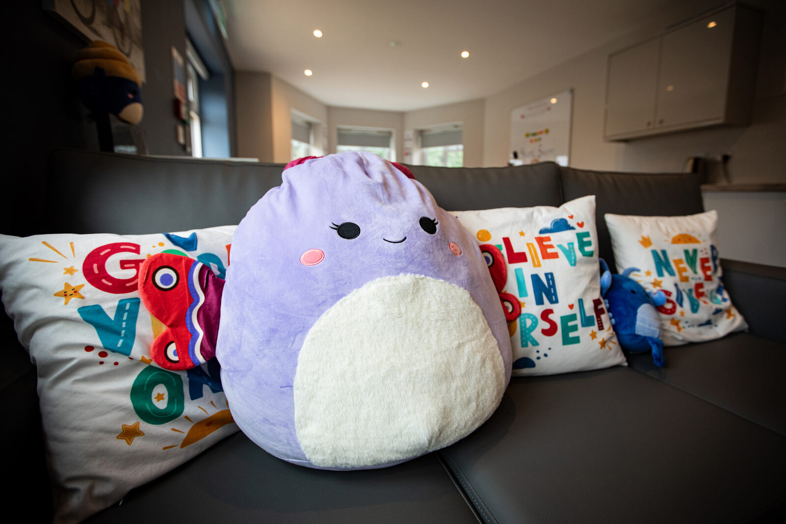 A comfortable lounge with cushions and soft toys inside a Lucania home